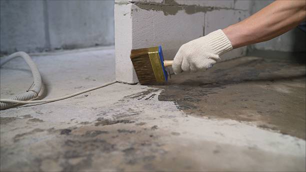 24/7 Emergency Wet Basement Repair experts in Dearborn Heights, MI
